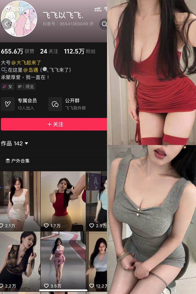 抖音 飞飞以飞飞 微密圈岛遇全套作品资源合集 维密圈|秘语 岛遇-第1张